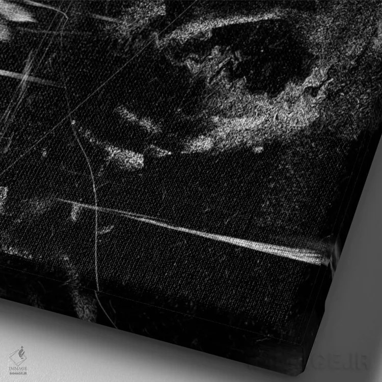 تابلو دکوراتیو اینشتین اثر نایس بلید - نمای نزدیک بافت بوم