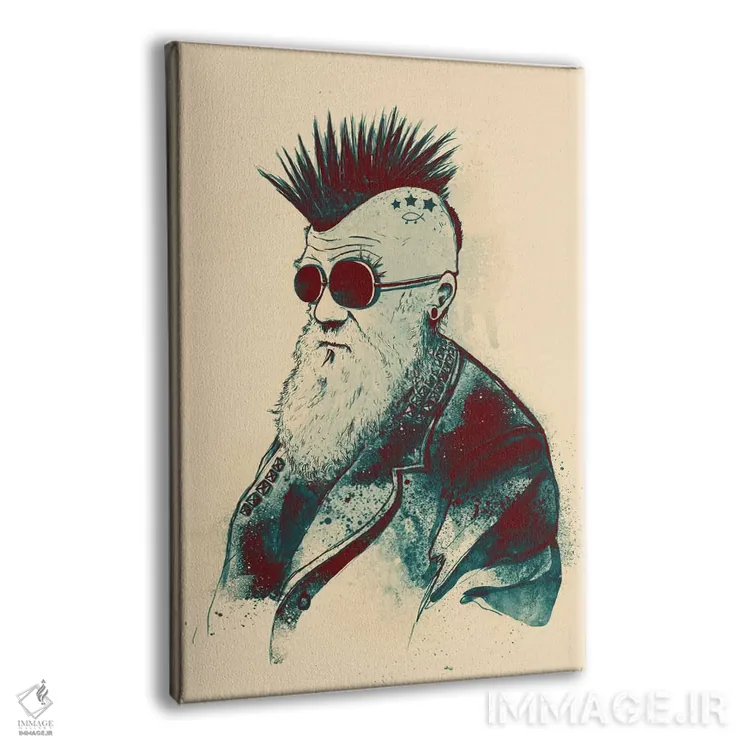 تابلو دکوراتیو تکامل چارلز اثر نایس بلید - نمای پرسپکتیو محصول