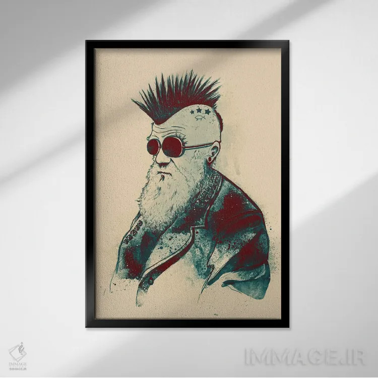 تابلو دکوراتیو تکامل چارلز اثر نایس بلید - نمای قابدار مشکی