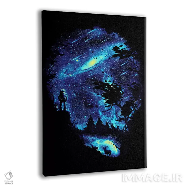 تابلو دکوراتیو مکاشفه کیهانی اثر نایس بلید - نمای پرسپکتیو محصول