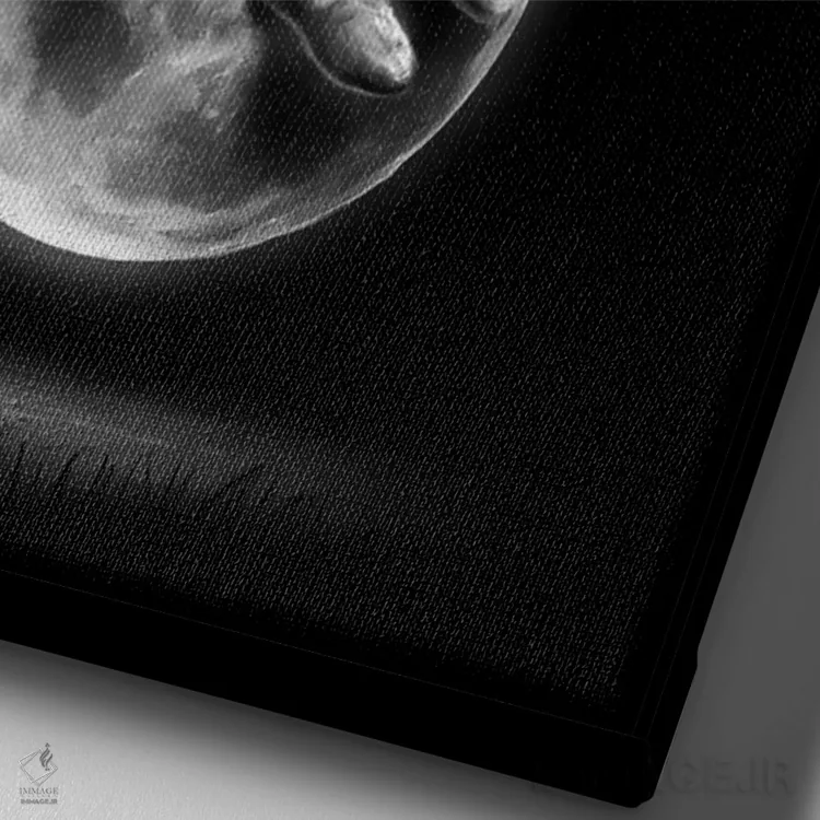 تابلو دکوراتیو اندیشمند فضایی اثر نایس بلید - نمای نزدیک بافت بوم