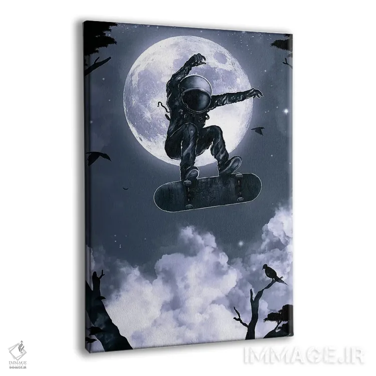 تابلو دکوراتیو اسکیت فضایی اثر نایس بلید - نمای پرسپکتیو محصول