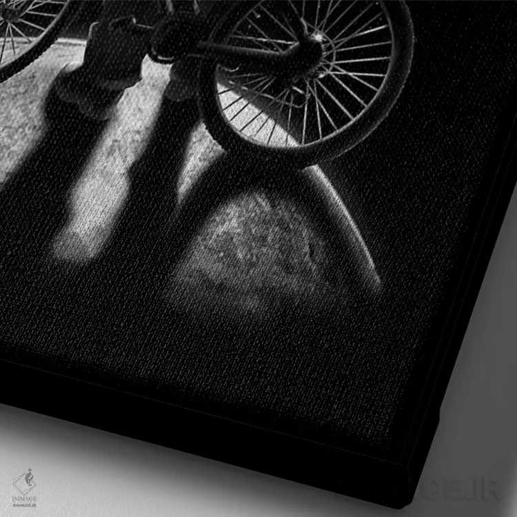 تابلو دکوراتیو رفت وآمدکننده اثر نایس بلید - نمای نزدیک بافت بوم