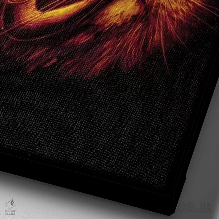 تابلو دکوراتیو چشم آیری اثر نایس بلید - نمای نزدیک بافت بوم