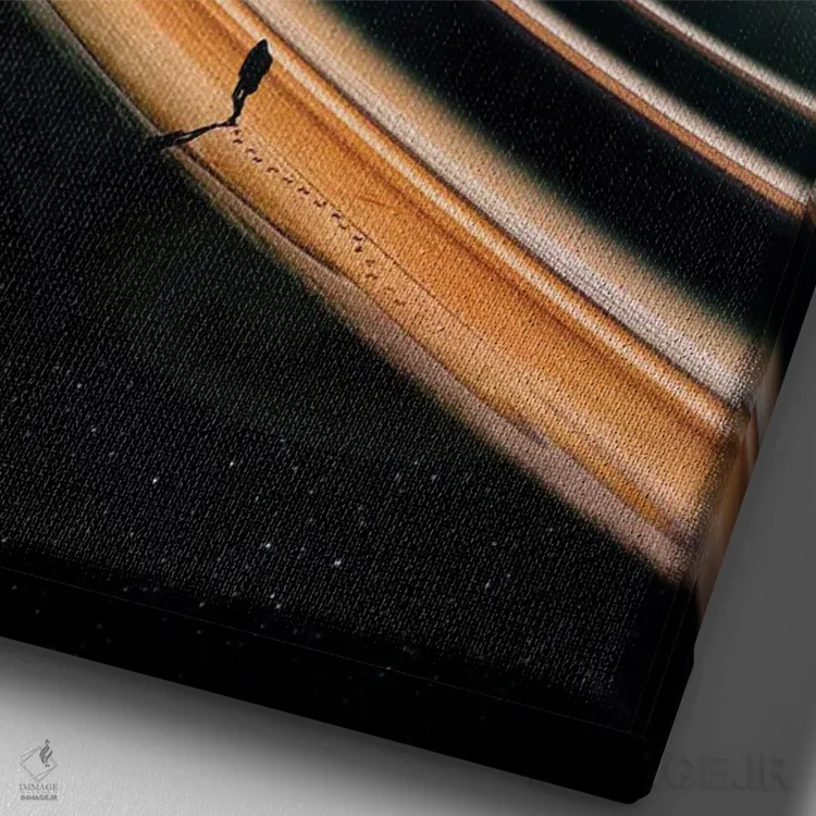 تابلو دکوراتیو سرگردانی اثر نایس بلید - نمای نزدیک بافت بوم