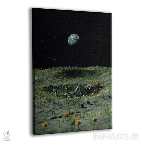 تابلو دکوراتیو خانه ای نو اثر نایس بلید - نمای پرسپکتیو محصول