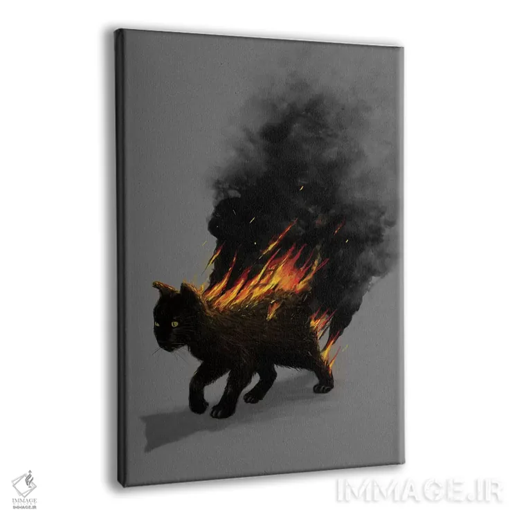 تابلو دکوراتیو گربه در آتش اثر نایس بلید - نمای پرسپکتیو محصول
