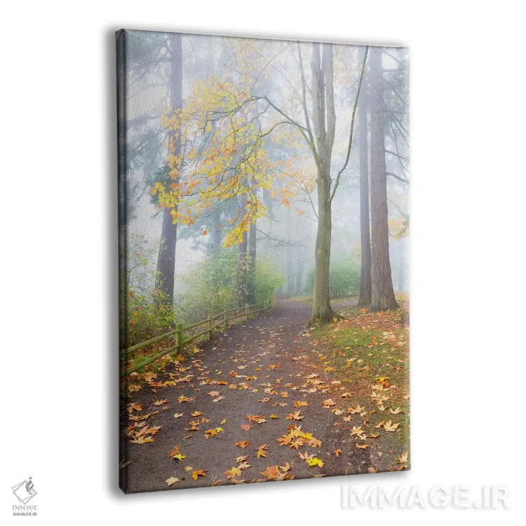 تابلو دکوراتیو Seattle, Washington,در امتداد پرتگاه، سیاتل، واشنگتن اثر جیم نیلسن - نمای پرسپکتیو محصول