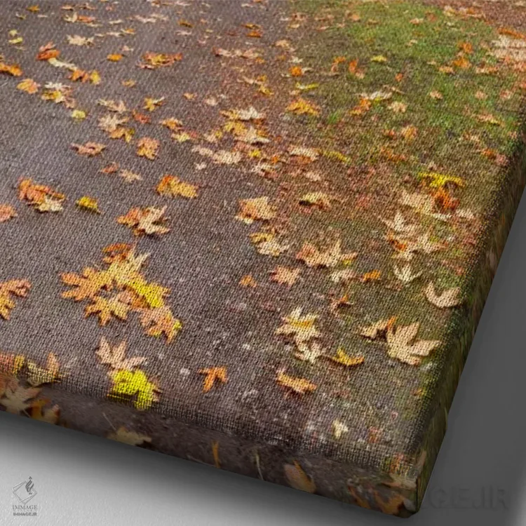 تابلو دکوراتیو Seattle, Washington,در امتداد پرتگاه، سیاتل، واشنگتن اثر جیم نیلسن - نمای نزدیک بافت بوم