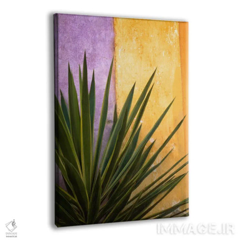 تابلو دکوراتیو Tlaquepaque, Mexico,دسته گل تلاکوپاکه، تلاکوپاکه، مکزیک اثر جیم نیلسن - نمای پرسپکتیو محصول