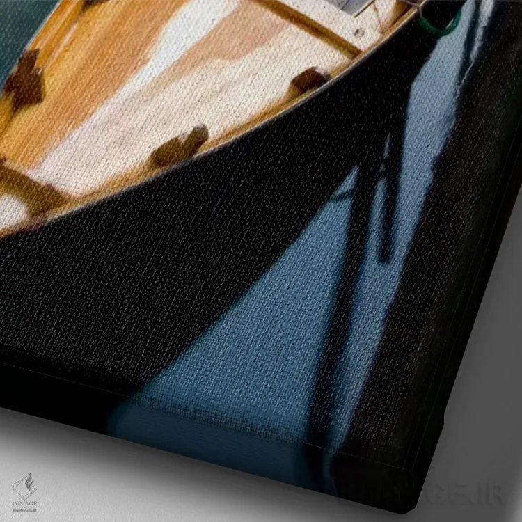 تابلو دکوراتیو Venice, Italy,سانپیروتا در حال استراحت، ونیز، ایتالیا اثر جیم نیلسن - نمای نزدیک بافت بوم