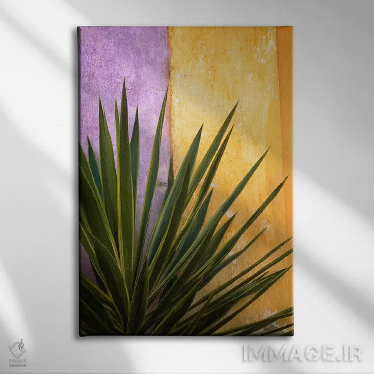 تابلو دکوراتیو Tlaquepaque, Mexico,دسته گل تلاکوپاکه، تلاکوپاکه، مکزیک اثر جیم نیلسن - نمای روبهرو روی دیوار