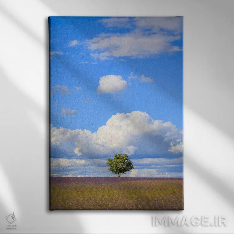 تابلو دکوراتیو Provence, France,درخت و ابرها، پروانس، فرانسه اثر جیم نیلسن - نمای روبهرو روی دیوار