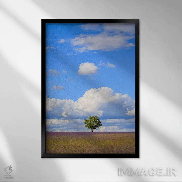 تابلو دکوراتیو Provence, France,درخت و ابرها، پروانس، فرانسه اثر جیم نیلسن - نمای قابدار مشکی
