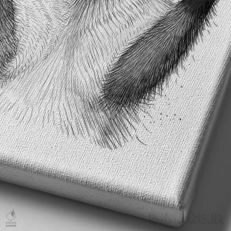 تابلو دکوراتیو راکون پاییزی اثر نیکیتا کورنکوف - نمای نزدیک بافت بوم