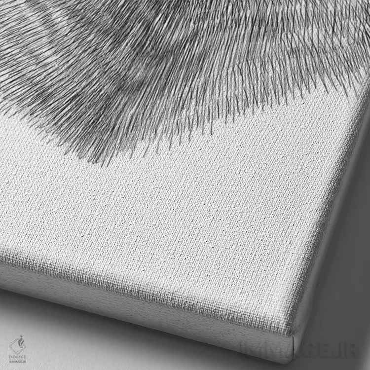 تابلو دکوراتیو گربه فضایی اثر نیکیتا کورنکوف - نمای نزدیک بافت بوم