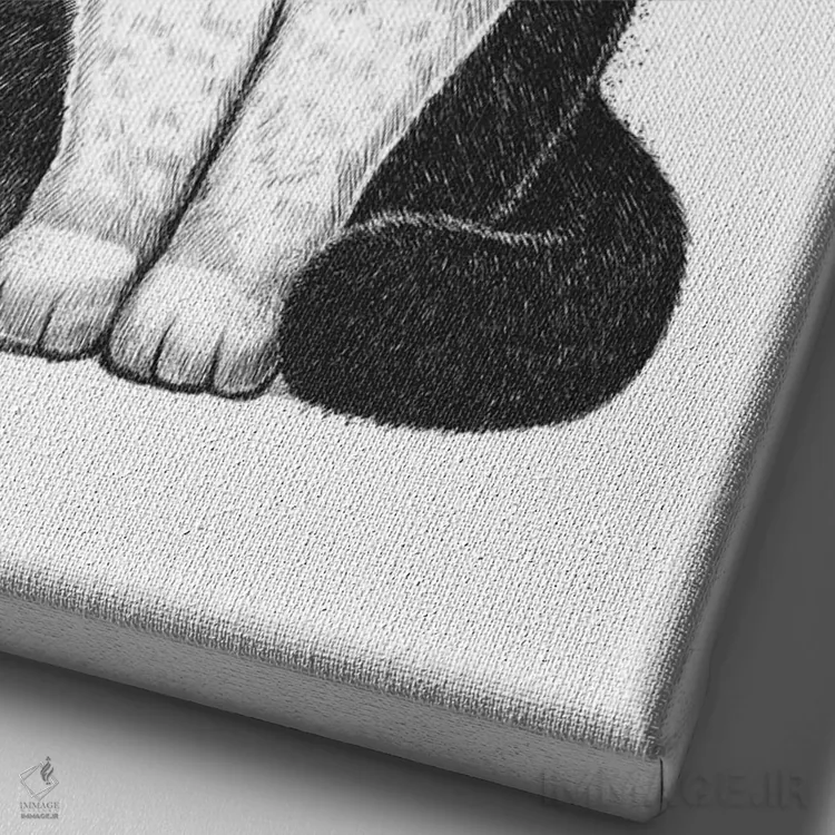 تابلو دکوراتیو گربه با قلب اثر نیکیتا کورنکوف - نمای نزدیک بافت بوم