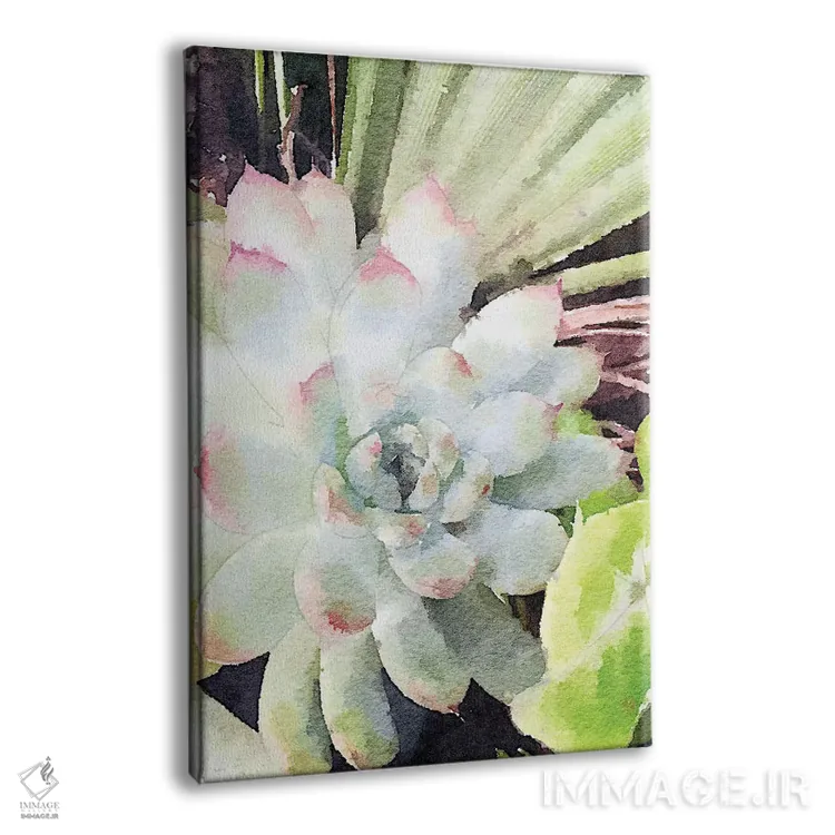 تابلو دکوراتیو ساکولنت سبز آبرنگی اثر نولا جیمز - نمای پرسپکتیو محصول