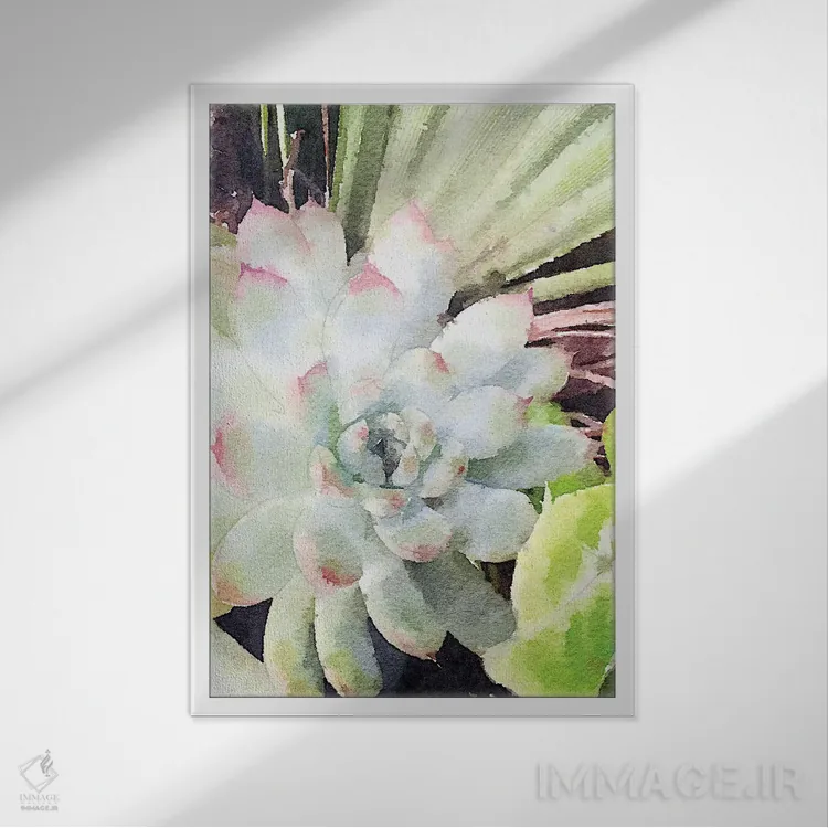 تابلو دکوراتیو ساکولنت سبز آبرنگی اثر نولا جیمز - نمای قابدار سفید