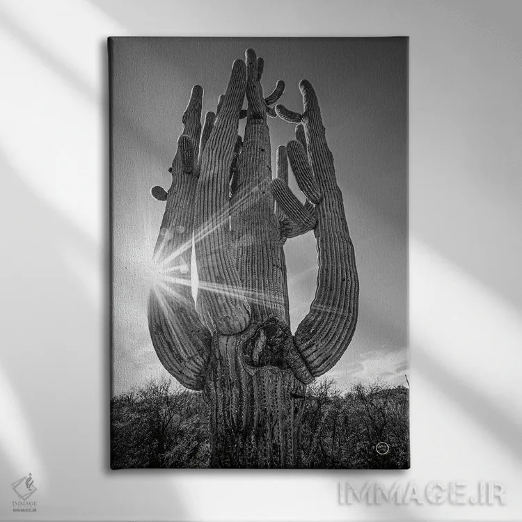 تابلو دکوراتیو غروب کاکتوس ساگوارو اثر نیتن لارسون - نمای روبهرو روی دیوار