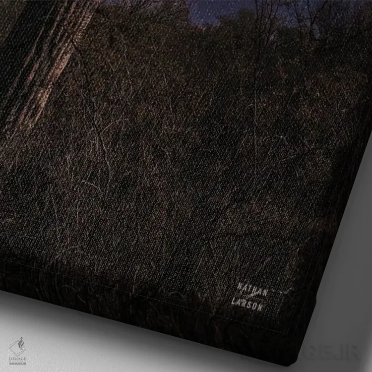 تابلو دکوراتیو شب های کویر اثر نیتن لارسون - نمای نزدیک بافت بوم