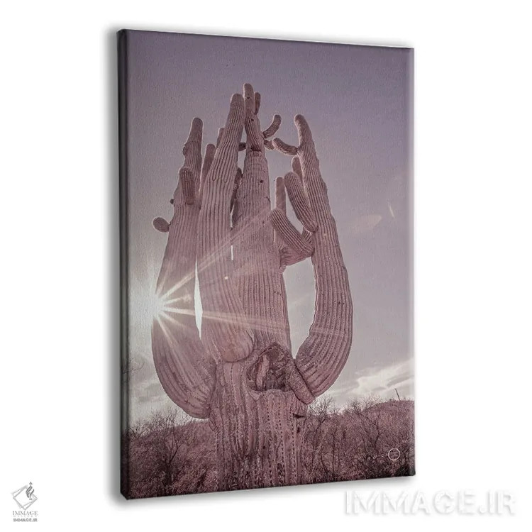 تابلو دکوراتیو کاکتوس ساگوارو کویر خاک آلود اثر نیتن لارسون - نمای پرسپکتیو محصول