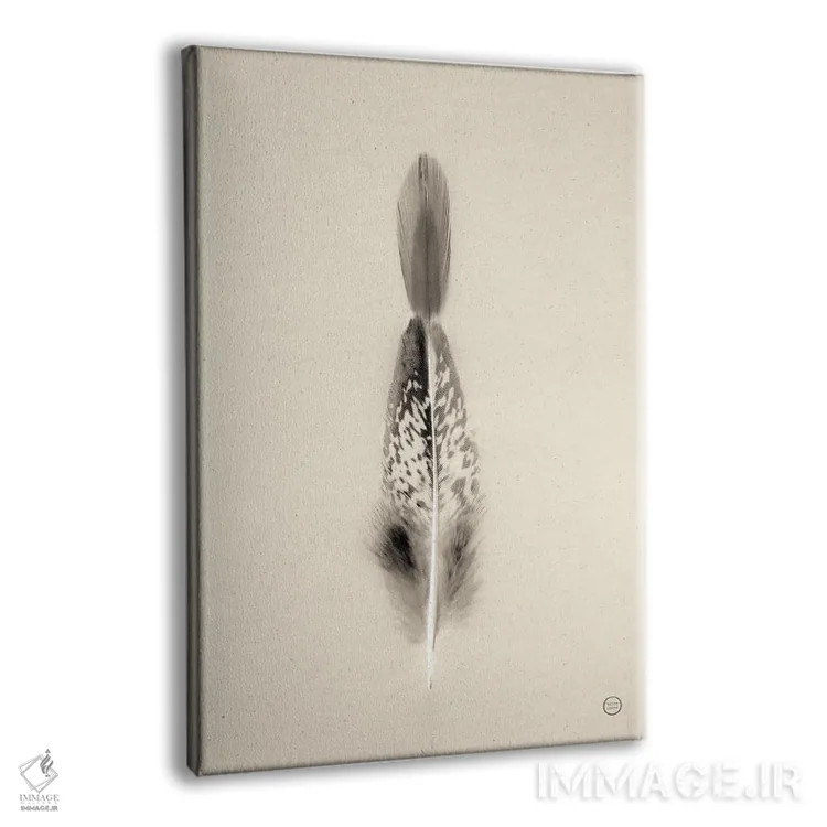 تابلو دکوراتیو پرهای شناور I اثر نیتن لارسون - نمای پرسپکتیو محصول
