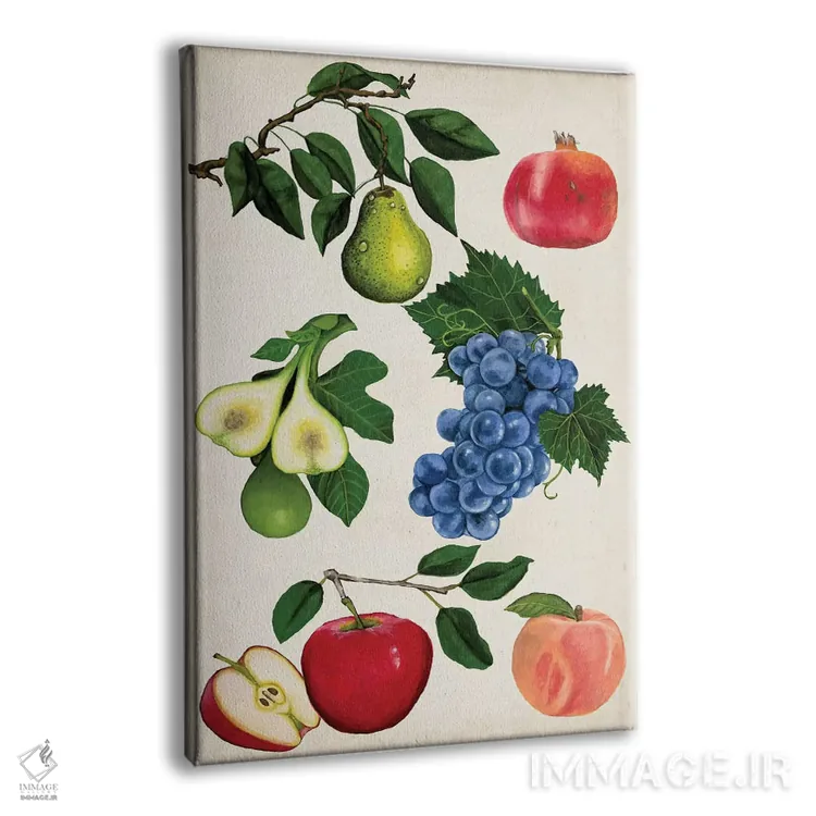 تابلو دکوراتیو مجموعه میوه ها یک اثر نائومی مک کاویت - نمای پرسپکتیو محصول