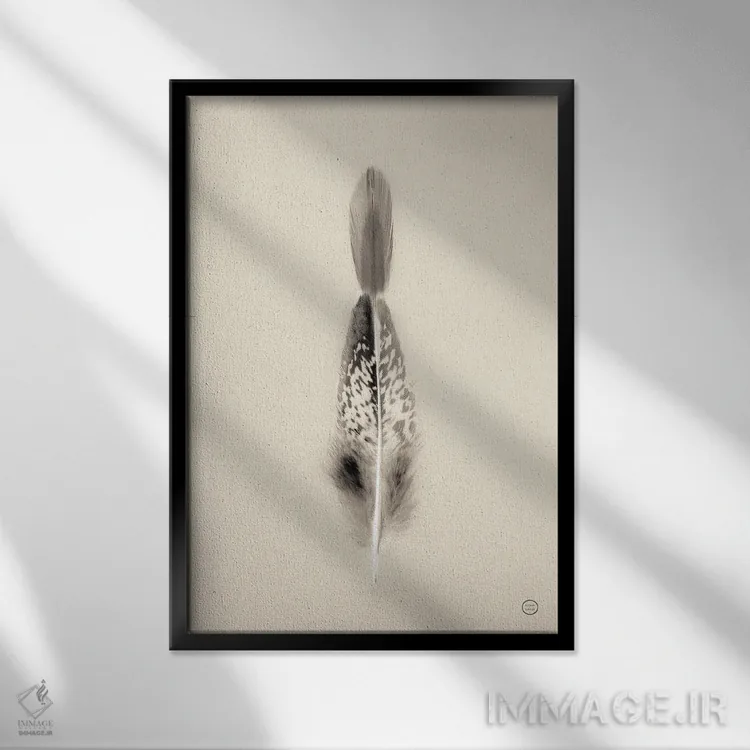 تابلو دکوراتیو پرهای شناور I اثر نیتن لارسون - نمای قابدار مشکی