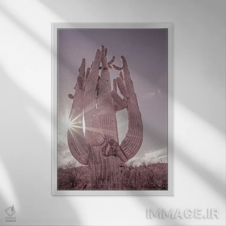 تابلو دکوراتیو کاکتوس ساگوارو کویر خاک آلود اثر نیتن لارسون - نمای قابدار سفید