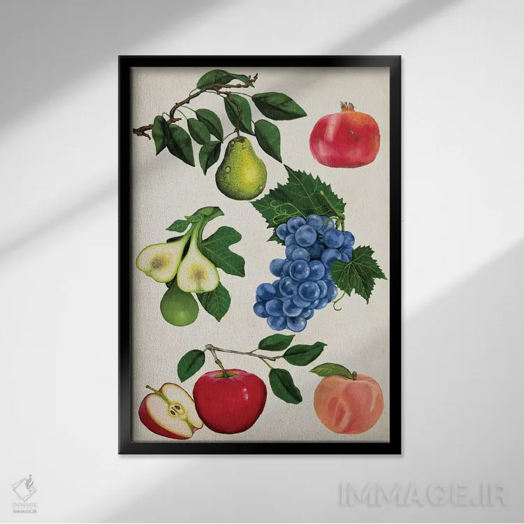 تابلو دکوراتیو مجموعه میوه ها یک اثر نائومی مک کاویت - نمای قابدار مشکی