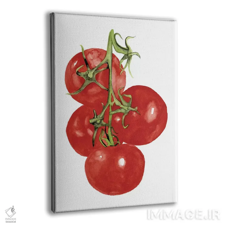 تابلو مینیمال سبزیجات آبرنگی چهارم اثر نائومی مک کاویت - نمای پرسپکتیو محصول