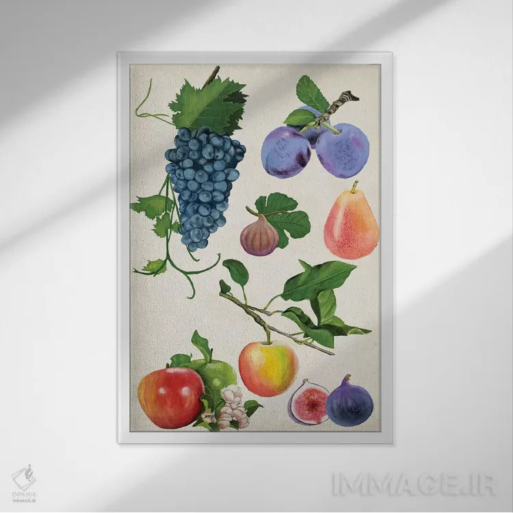 تابلو دکوراتیو مجموعه میوه ها دو اثر نائومی مک کاویت - نمای قابدار سفید