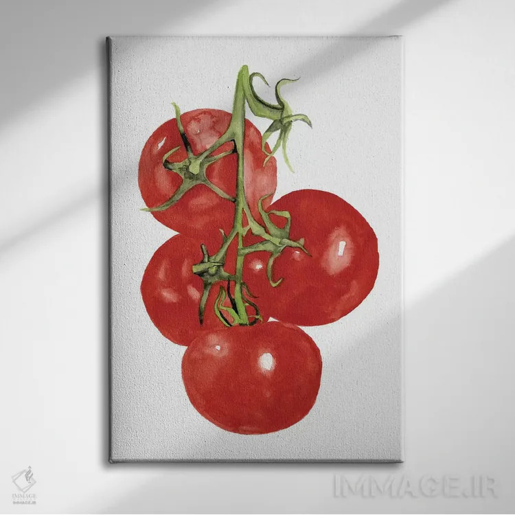 تابلو مینیمال سبزیجات آبرنگی چهارم اثر نائومی مک کاویت - نمای روبهرو روی دیوار