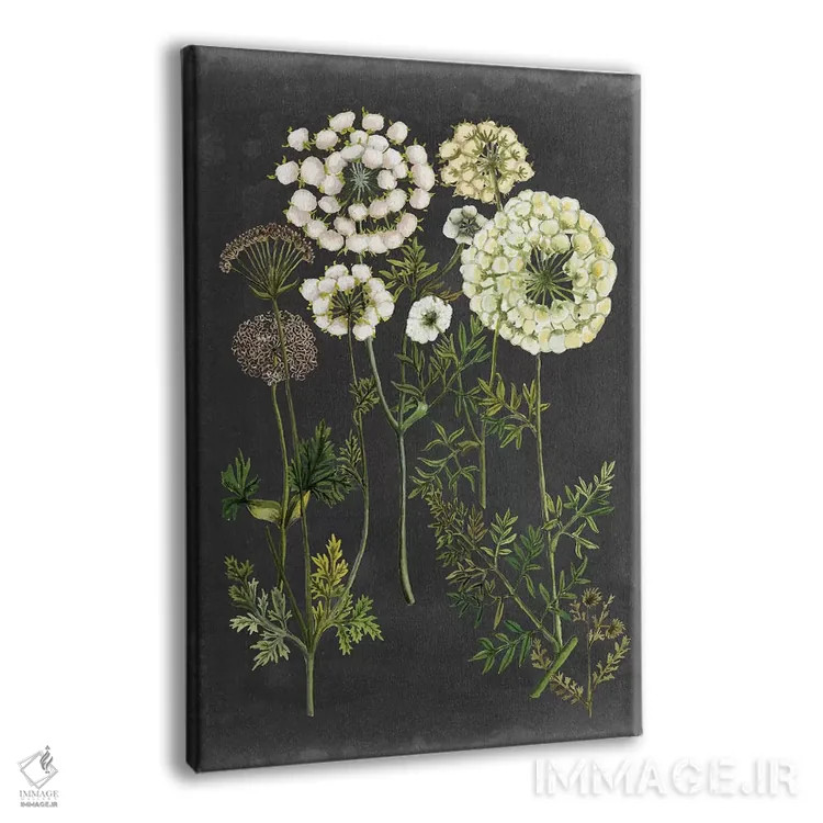 تابلو دکوراتیو گل های اکس لیبریس دو اثر نائومی مک کاویت - نمای پرسپکتیو محصول