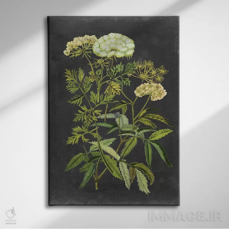 تابلو دکوراتیو گل های اکس لیبریس یک اثر نائومی مک کاویت - نمای روبهرو روی دیوار