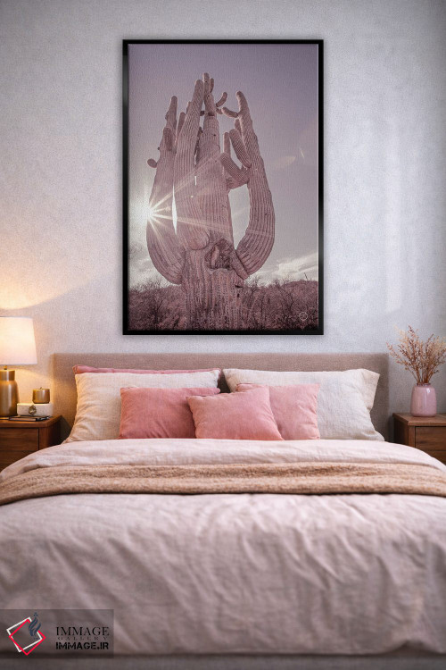 تابلو دکوراتیو کاکتوس ساگوارو کویر خاک آلود اثر نیتن لارسون - D3B