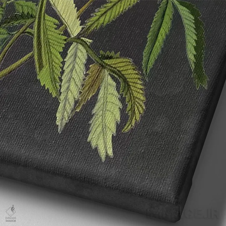 تابلو دکوراتیو گل های اکس لیبریس یک اثر نائومی مک کاویت - نمای نزدیک بافت بوم