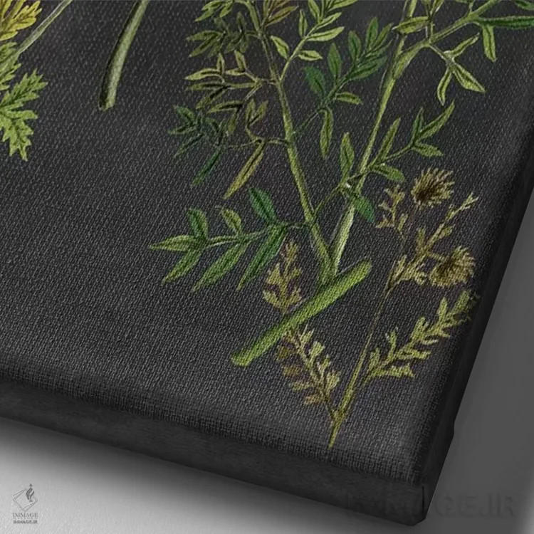 تابلو دکوراتیو گل های اکس لیبریس دو اثر نائومی مک کاویت - نمای نزدیک بافت بوم