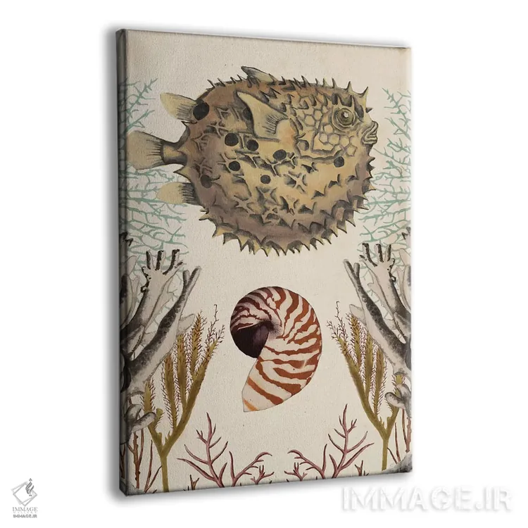 تابلو دکوراتیو مجموعه حیوانات عتیقه: ماهی بادکنکی اثر نائومی مک کاویت - نمای پرسپکتیو محصول
