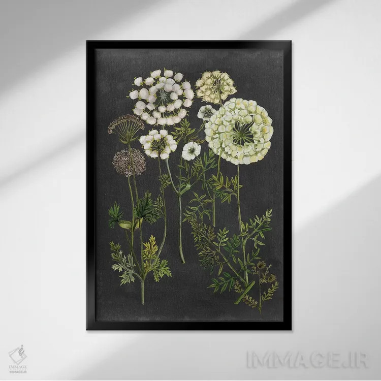 تابلو دکوراتیو گل های اکس لیبریس دو اثر نائومی مک کاویت - نمای قابدار مشکی