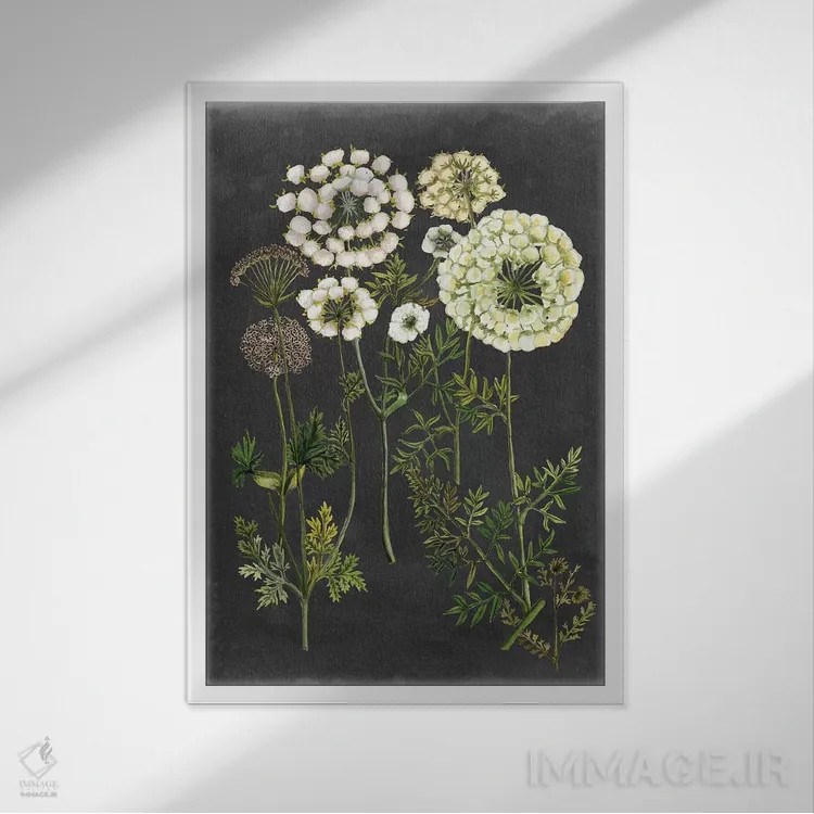 تابلو دکوراتیو گل های اکس لیبریس دو اثر نائومی مک کاویت - نمای قابدار سفید