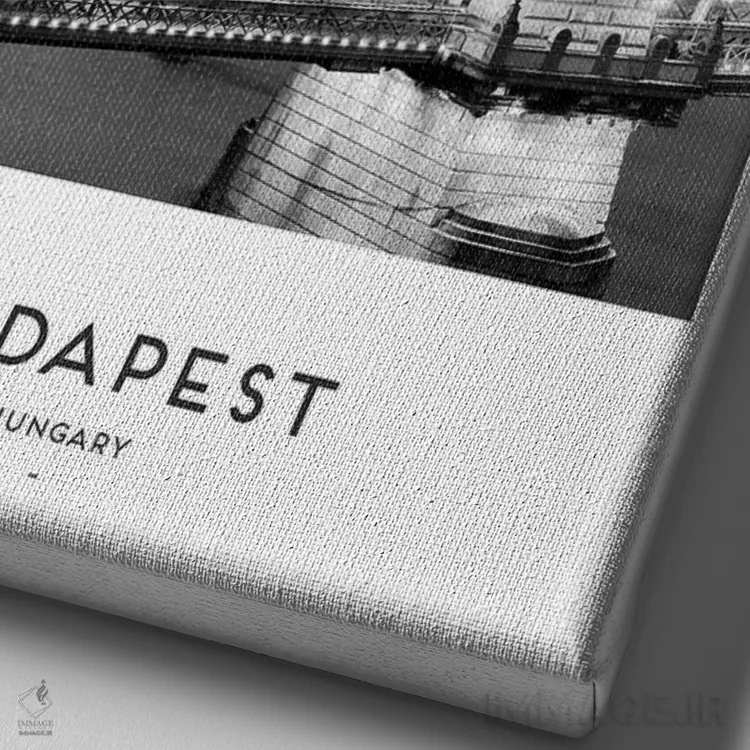 تابلو دکوراتیو بوداپست و پراگ سیاه و سفید اثر نائومی دیویس - نمای نزدیک بافت بوم