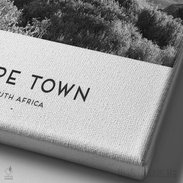 تابلو دکوراتیو کیپ تاون آفریقای جنوبی سیاه و سفید اثر نائومی دیویس - نمای نزدیک بافت بوم