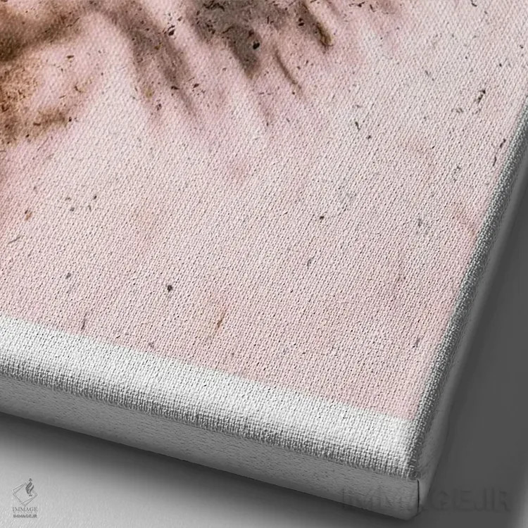 تابلو دکوراتیو ساحل قایق صورتی اثر نائومی دیویس - نمای نزدیک بافت بوم