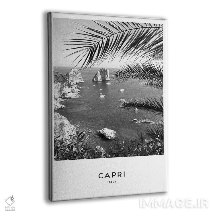 تابلو دکوراتیو کاپری ایتالیا سیاه و سفید اثر نائومی دیویس - نمای پرسپکتیو محصول