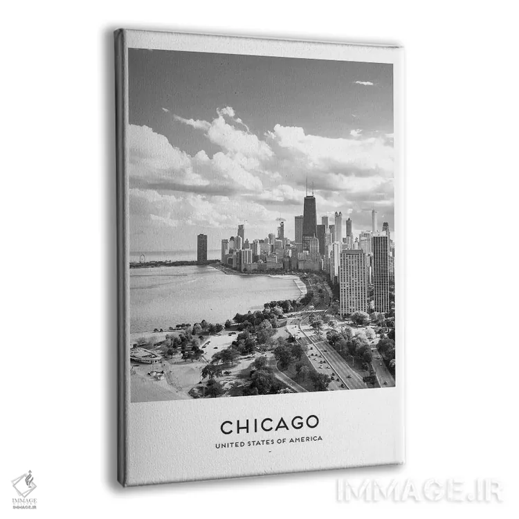 تابلو دکوراتیو شیکاگو آمریکا سیاه و سفید اثر نائومی دیویس - نمای پرسپکتیو محصول