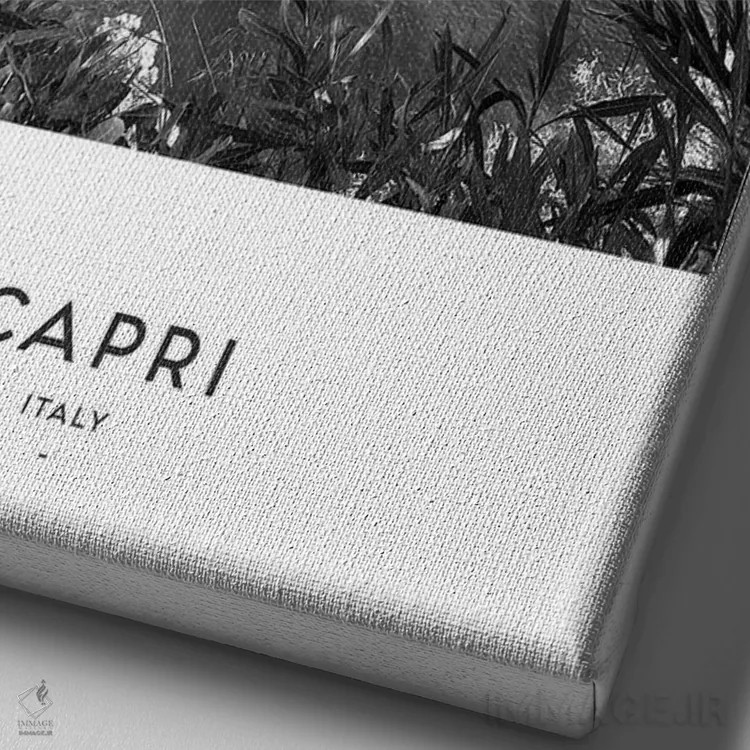 تابلو دکوراتیو کاپری ایتالیا سیاه و سفید اثر نائومی دیویس - نمای نزدیک بافت بوم