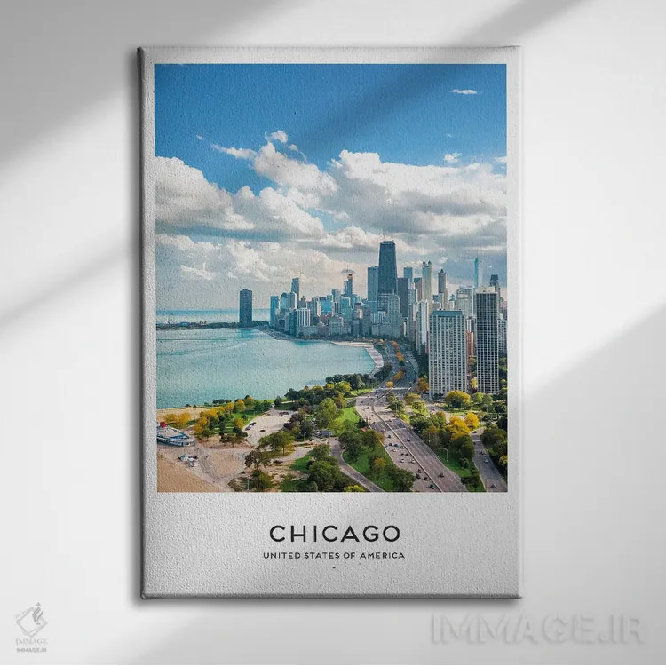 تابلو دکوراتیو شیکاگو آمریکا اثر نائومی دیویس - نمای روبهرو روی دیوار