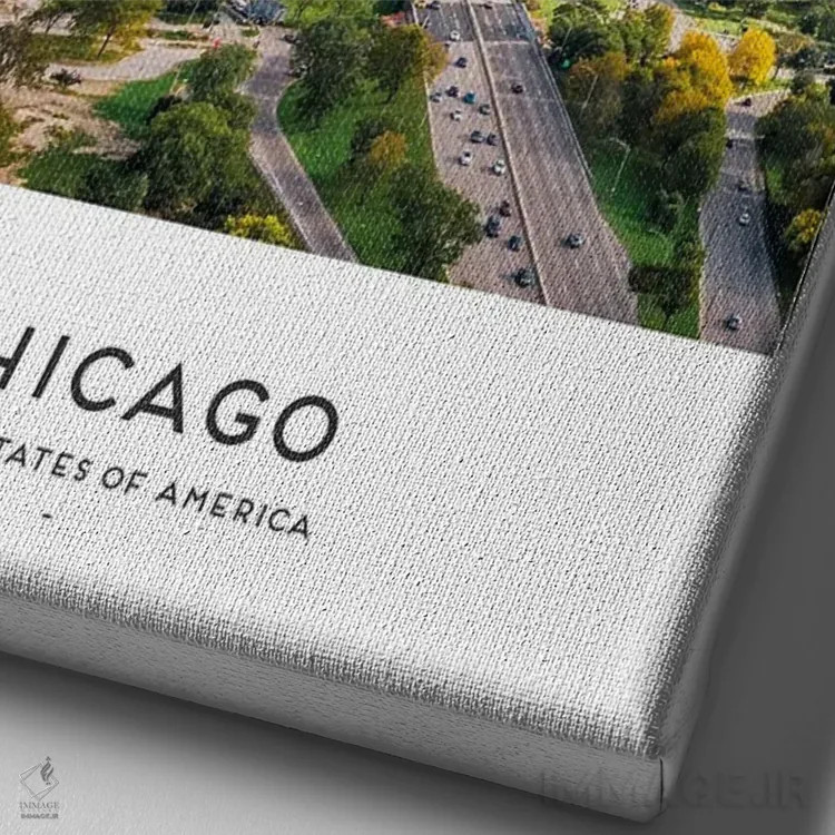تابلو دکوراتیو شیکاگو آمریکا اثر نائومی دیویس - نمای نزدیک بافت بوم
